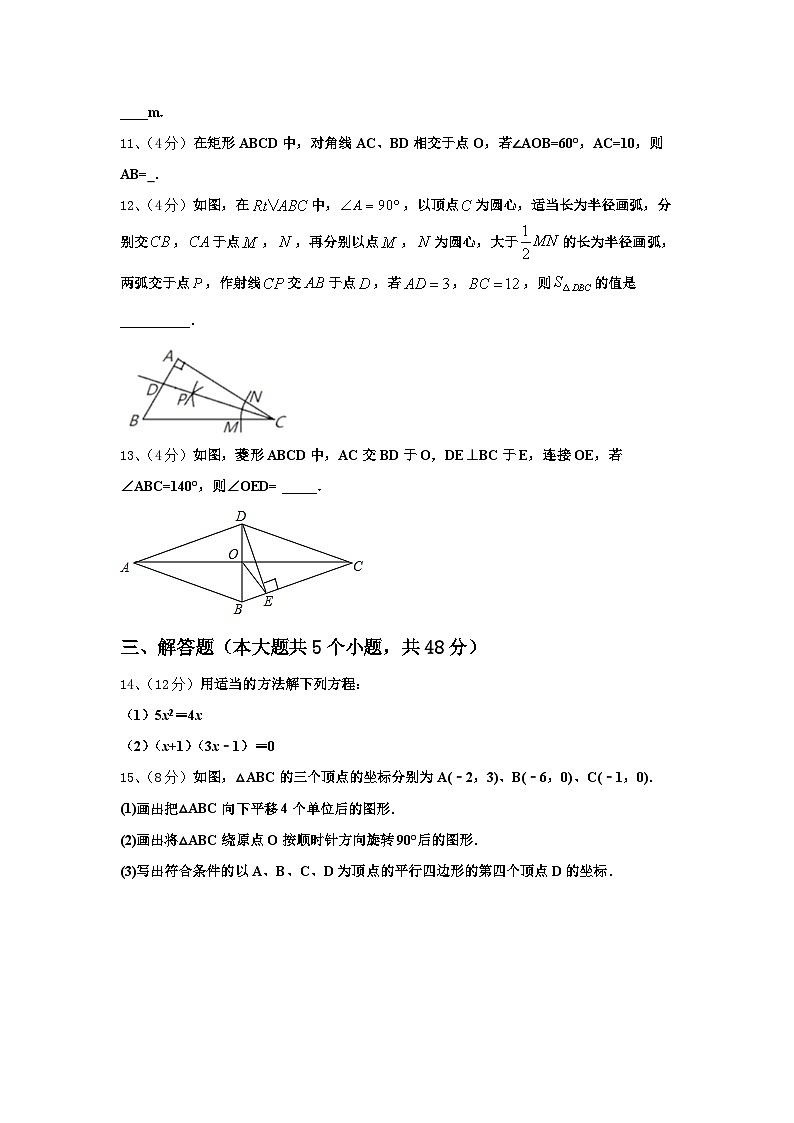安徽省合肥市滨湖区寿春中学2024-2025学年数学九上开学学业水平测试试题【含答案】第3页