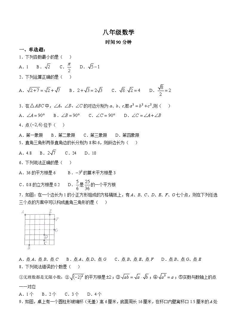 河南省郑州市桐柏一中2024-2025学年八年级上学期数学月考试卷第1页