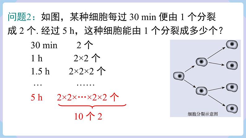 （湘教版2024）七年级数学上册同步1.6.1 认识乘方 课件+教案+同步练习06