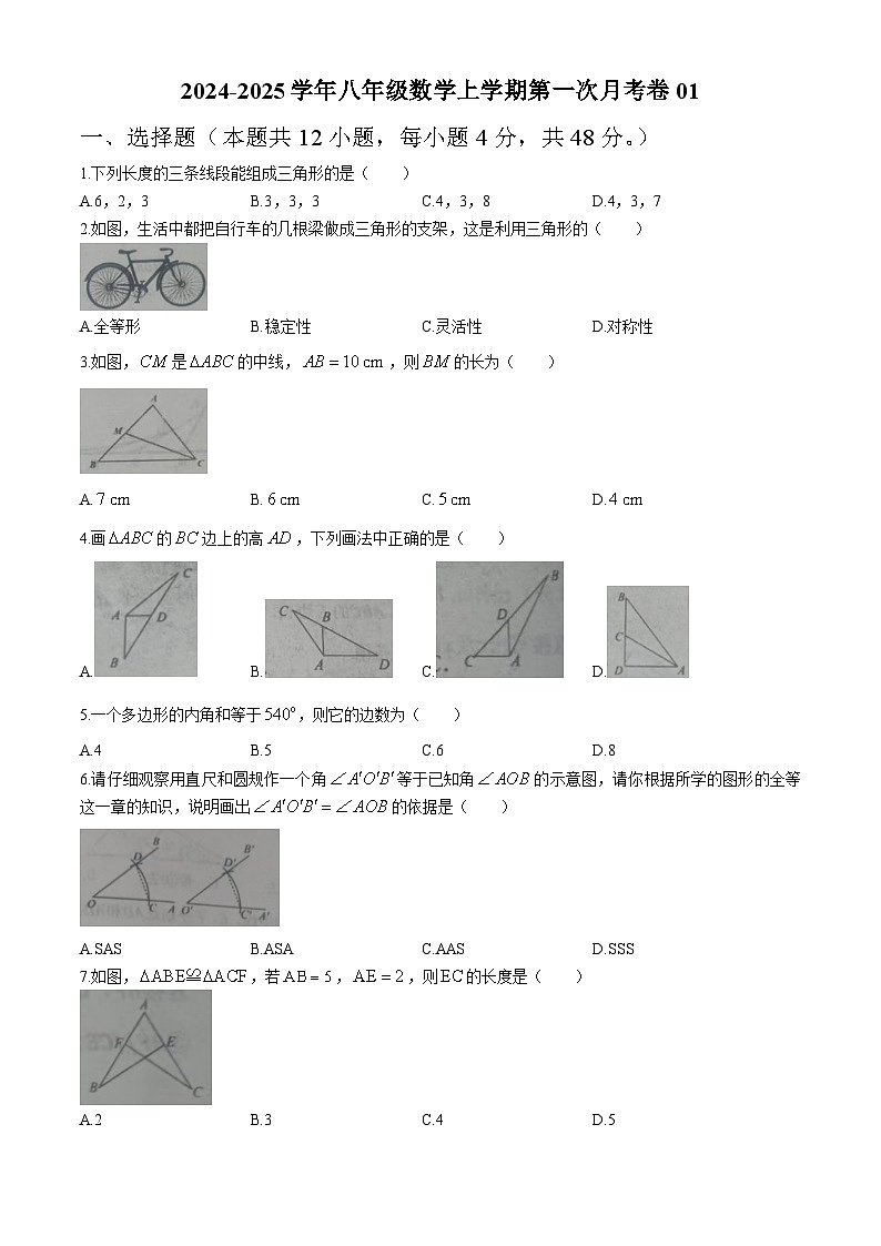 山东省宁津县苗场中学2024-2025学年上学期第一次月考八年级数学试题(无答案)01