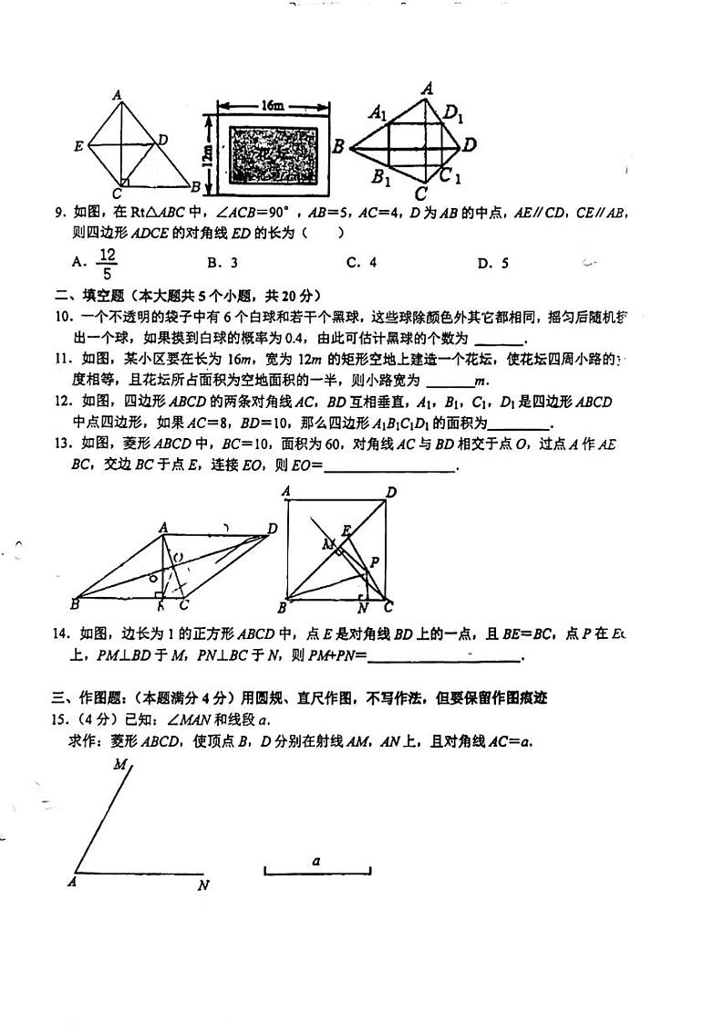 山东省青岛市城阳第八中学2024-2025学年九年级上学期10月月考数学试卷第2页