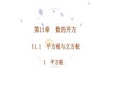 华东师大版课件第11章  11.1.1平方根