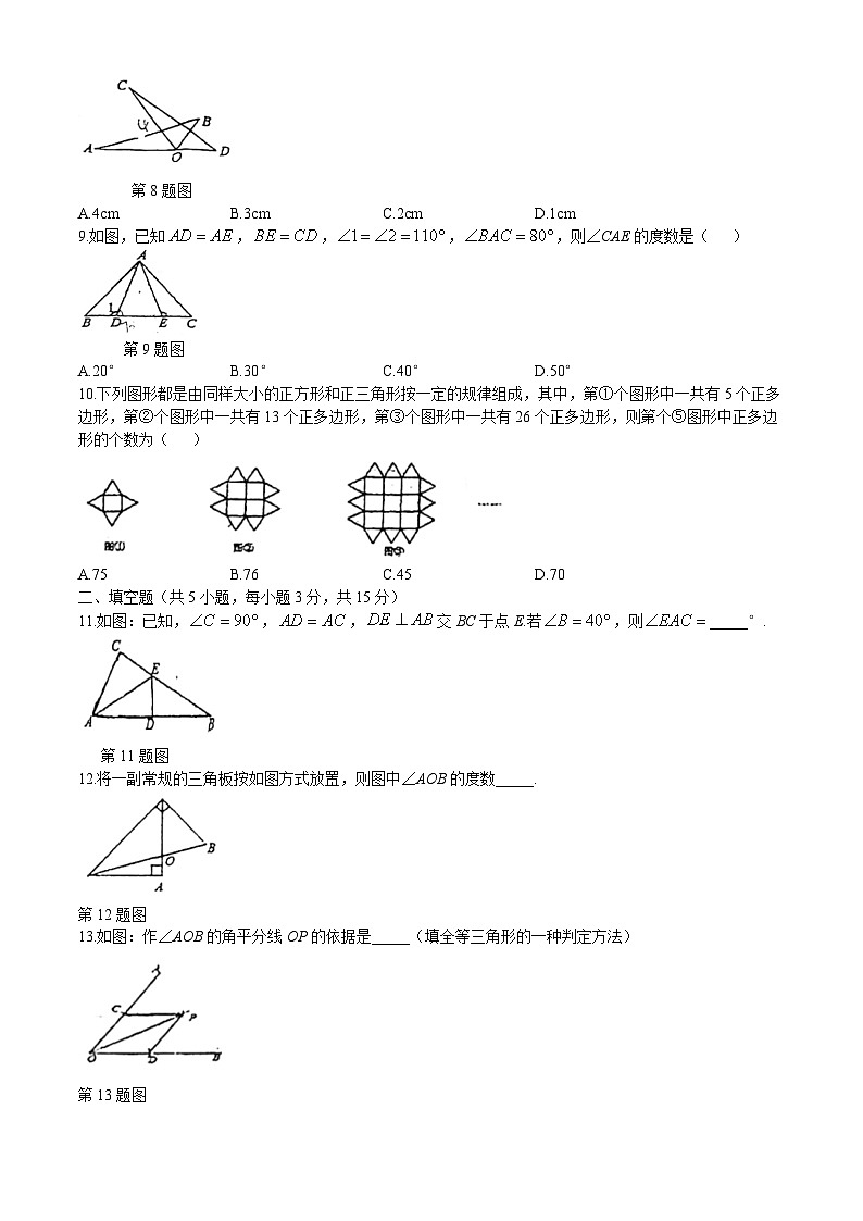 河南省信阳市罗山县实验中学2024-2025学年八年级上学期10月月考数学试题(无答案)第2页