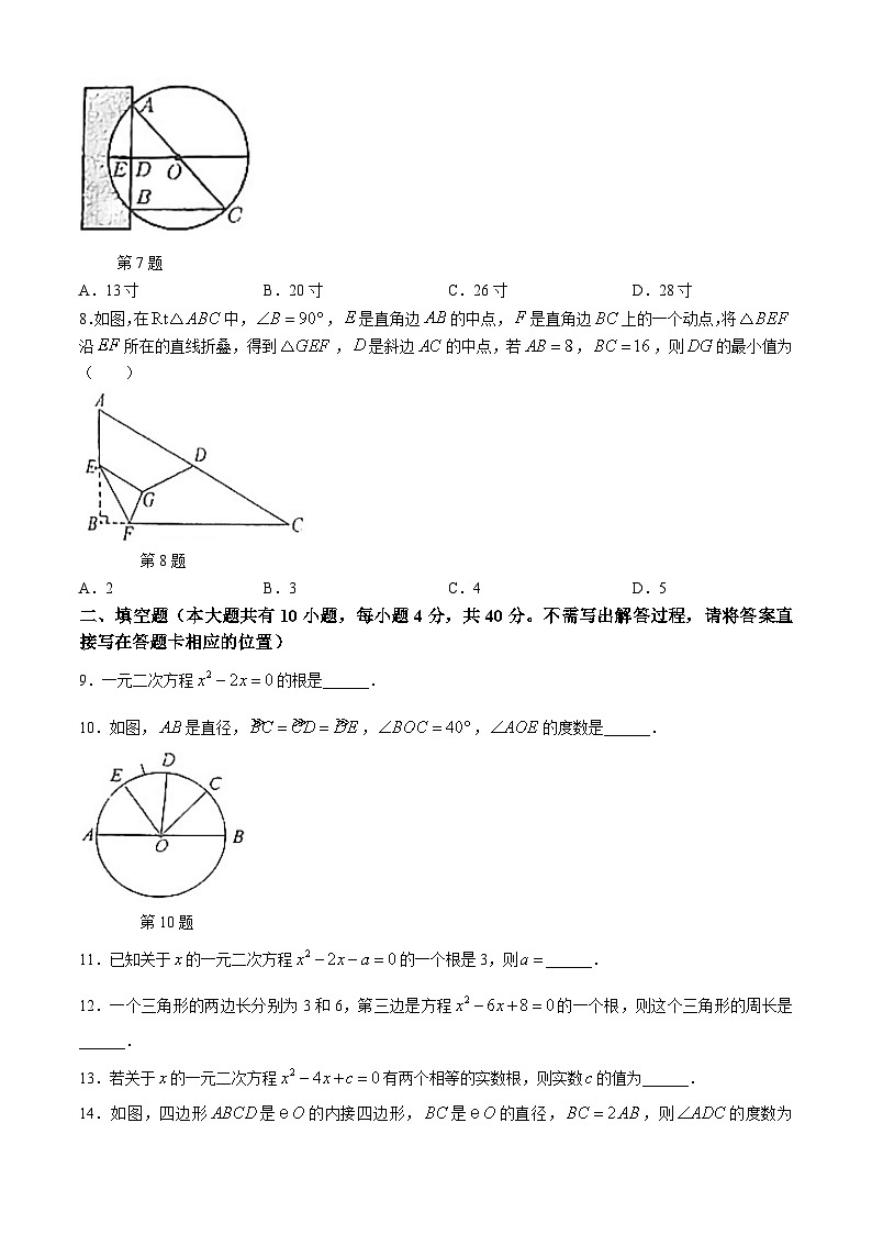 江苏省徐州市树人初级中学2024-2025学年九年级上学期10月月考数学试题(无答案)02