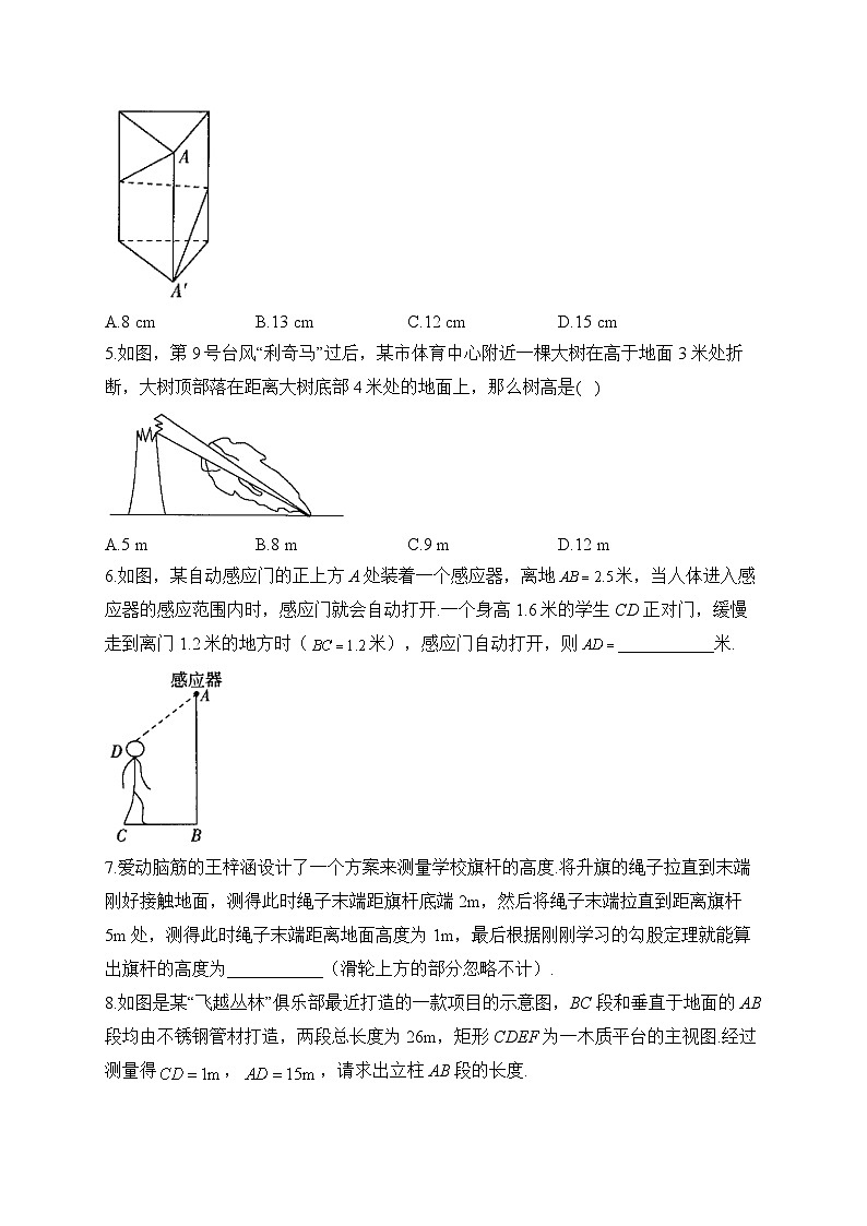 3.3 勾股定理的简单应用 苏科版数学八年级上册堂堂练(含答案)第2页