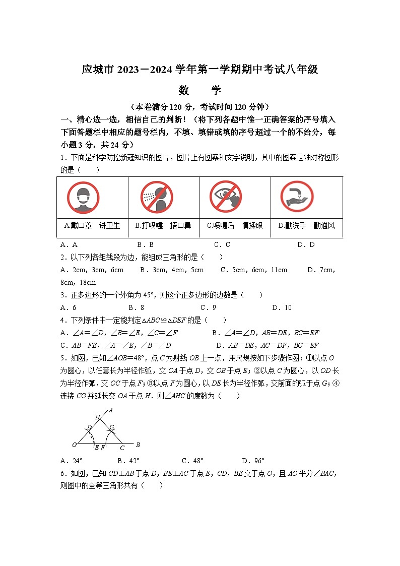 湖北省孝感市应城市2023-2024学年八年级上学期期中考试数学试卷(含答案)01