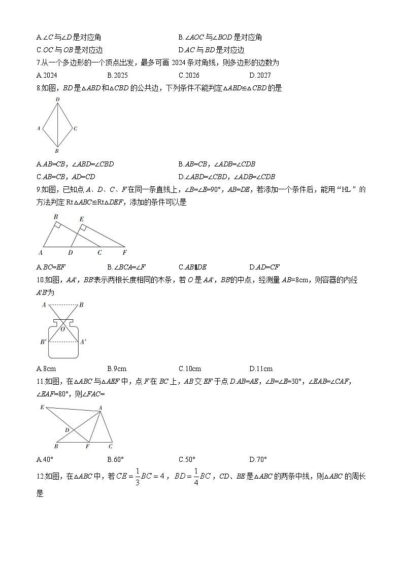 云南省昭通市昭阳区2024-2025学年八年级上学期10月月考数学试题02