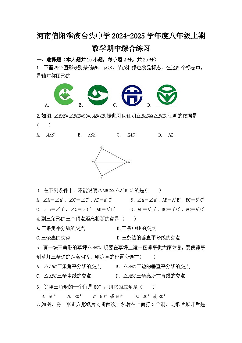河南省信阳市淮滨县台头乡初级中学 2024-2025学年 八年级上期数学期中综合练习第1页