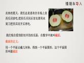 北师版初中七上数学1.3 截一个几何体（课件）