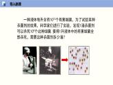 北师版初中七下数学1.3.1 同底数幂的除法（1）（课件）
