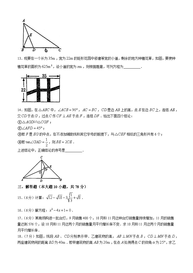 吉林省长春市东北师大附中新城校区2024-2025学年九年级上学期期中考试数学试题(无答案)第3页