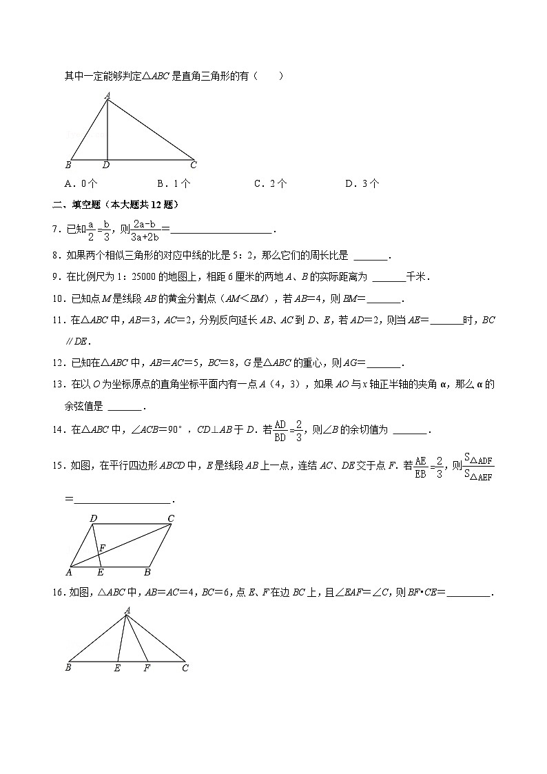 上海市徐汇区上海市西南模范中学2024-2025学年九年级上学期月考数学试卷（9月份）第2页
