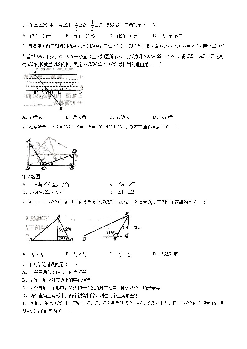 山东省淄博市张店区第八中学2024-2025学年七年级上学期第一次月考数学试卷(无答案)第2页
