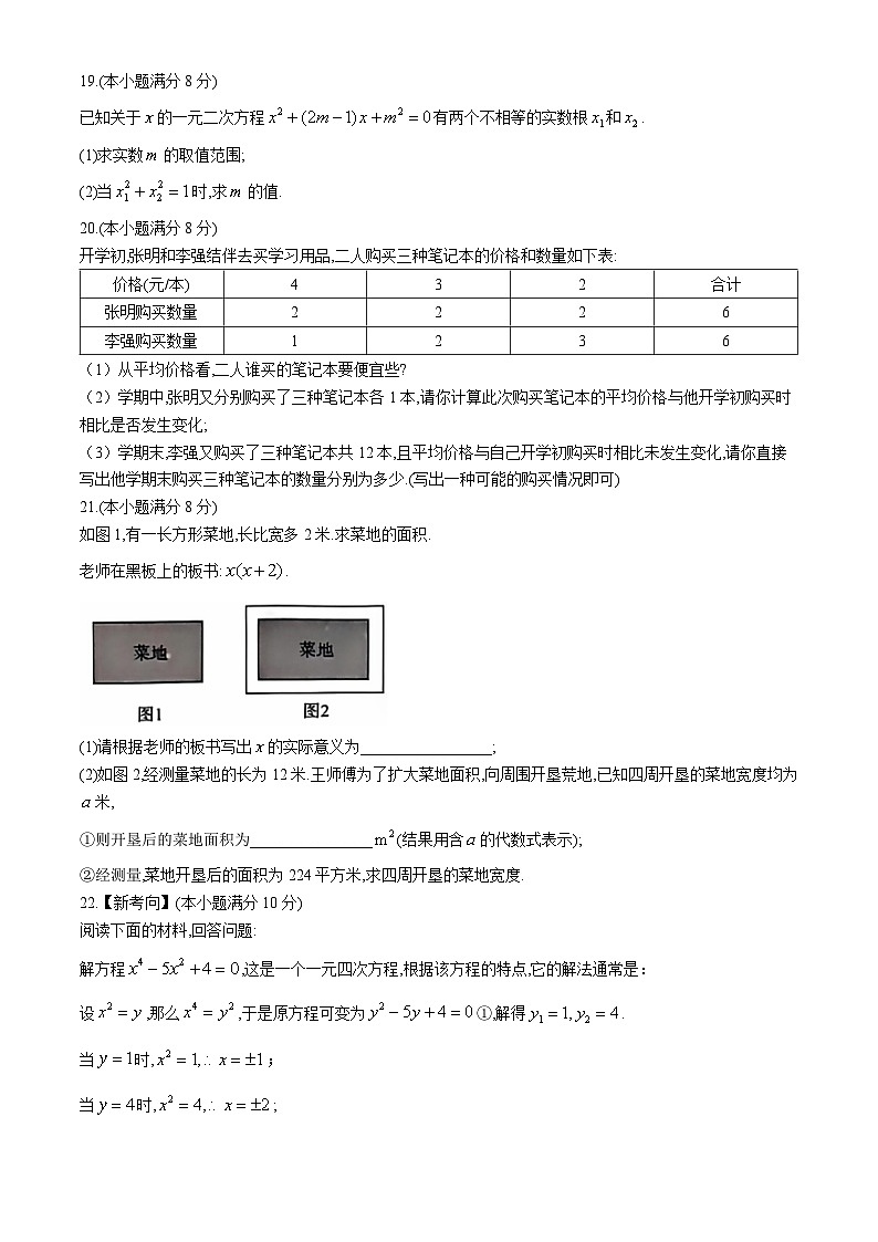 河北省沧州市南皮县桂和中学2024-2025学年九年级上学期第一次月考数学试题第3页