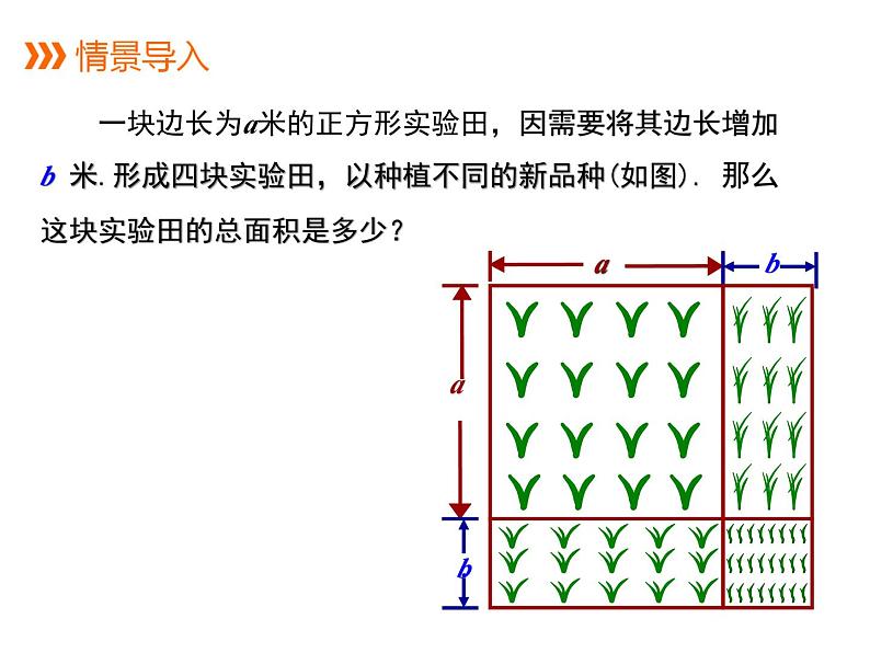 八年级数学上册华师版12.3.2两数和的平方 教案+PPT+视频03