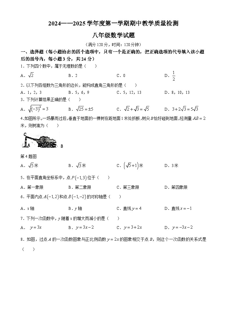 山东省菏泽市牡丹区2024-2025学年上学期八年级数学期中教学质量检测试卷(无答案)01