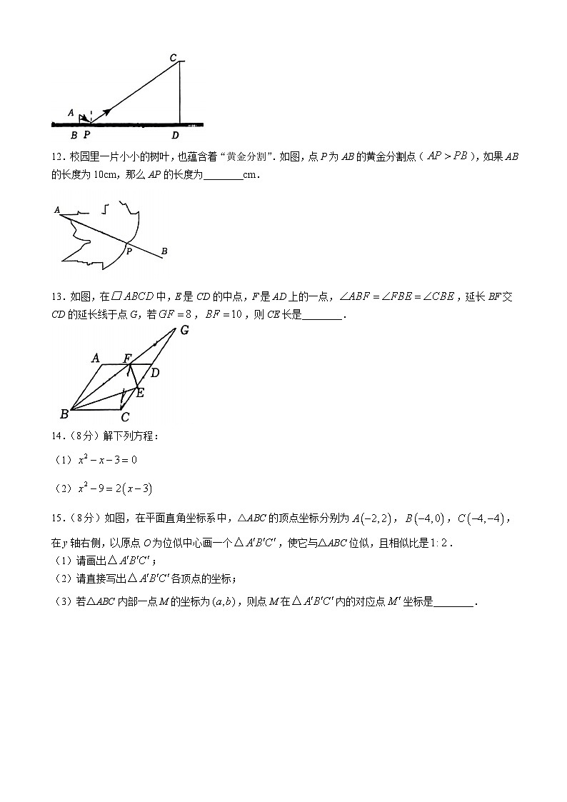 广东省深圳市南山区为明学校2024—2025学年上学期九年级10月月考数学试卷(无答案)03