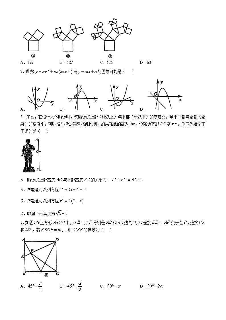 重庆市杨家坪中学2024-2025学年九年级上学期10月月考数学试题(无答案)02