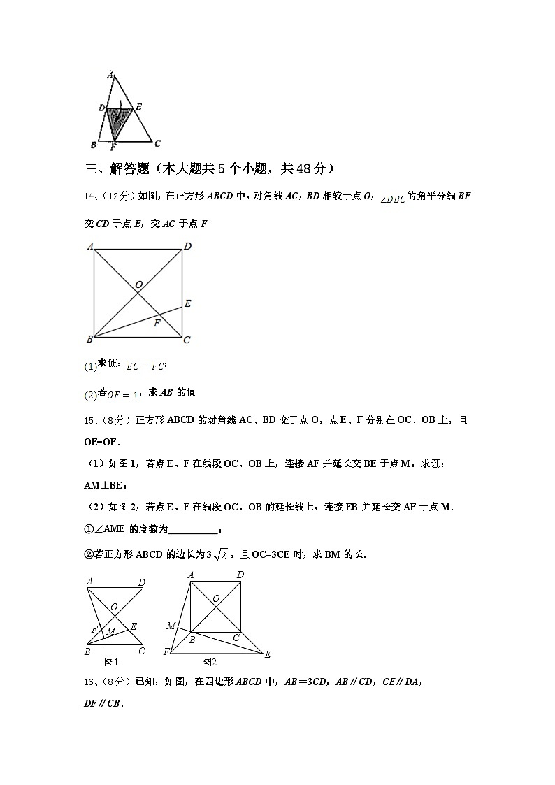 福建省光泽县2024年数学九年级第一学期开学学业水平测试模拟试题【含答案】03