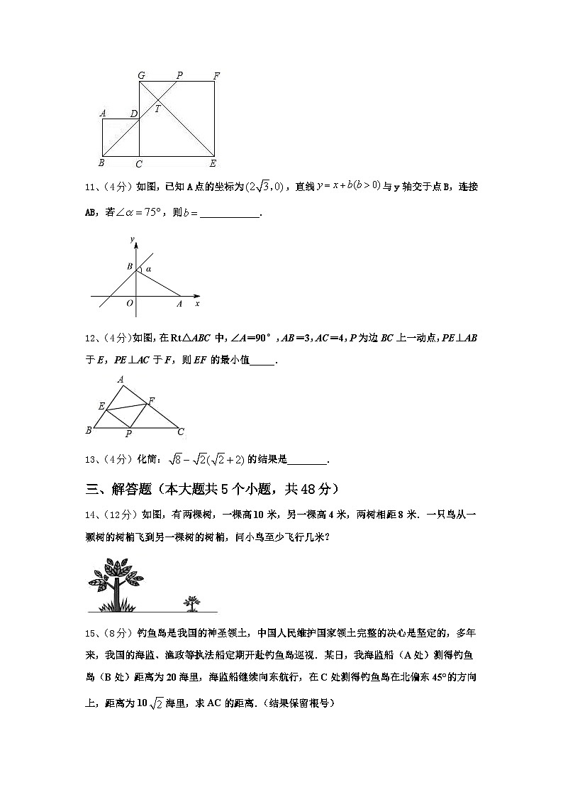 福建省晋江市安海片区2024-2025学年数学九年级第一学期开学达标检测模拟试题【含答案】03