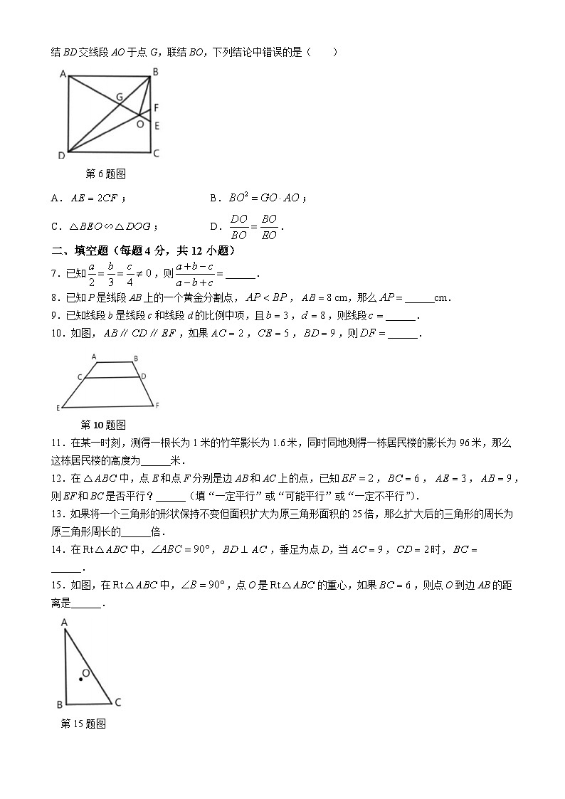 上海市浦东新区建平南汇实验学校2024-2025学年九年级上学期9月月考数学试卷02