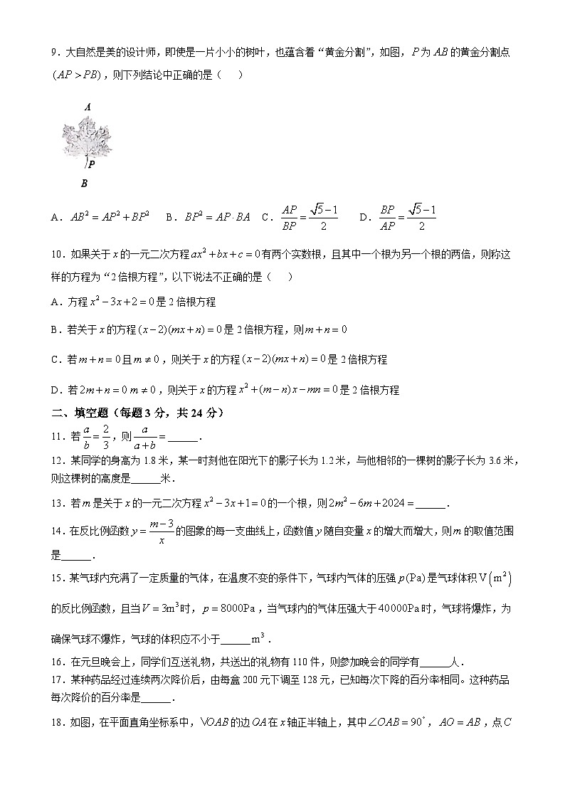 湖南省岳阳市第九中学2024-2025学年九年级上学期第一次月考数学试题(无答案)第2页