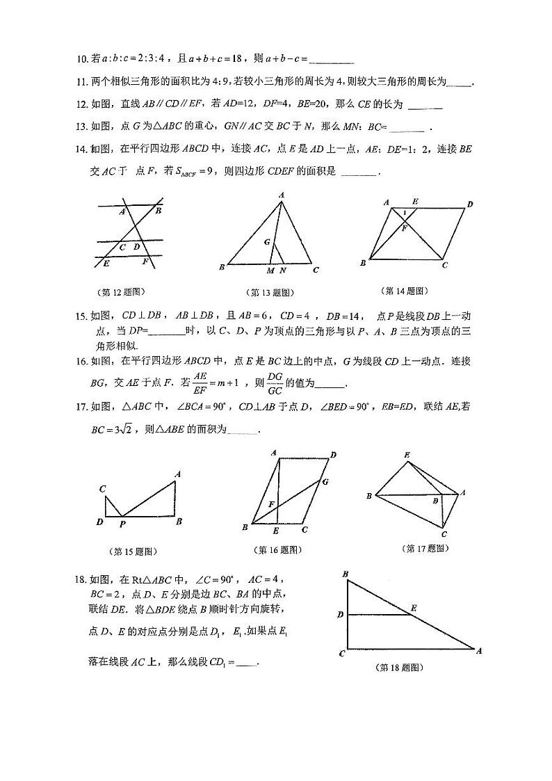上海市建平实验中学2024—-2025学年上学期10月月考九年级数学试卷第2页