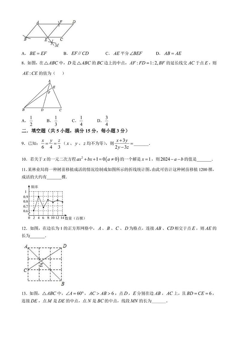 广东深圳罗湖外语初中学校2025届上学期九年级10月月考数学试卷+答案02