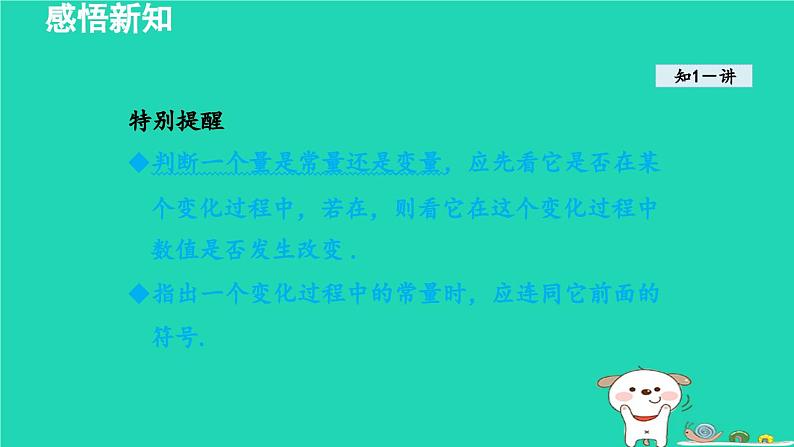 2024八年级数学下册第4章一次函数4.1函数和它的表示法课件新版湘教版第4页