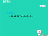 2024九年级数学下册第1章二次函数1.2二次函数的图象与性质1.2.2二次函数y=a(x－h)2 k的图象与性质课件新版湘教版