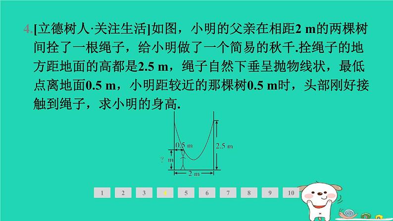 2024九年级数学下册第1章二次函数1.5二次函数的应用1.5.1利用二次函数解决实物抛物线问题面积问题习题课件新版湘教版07