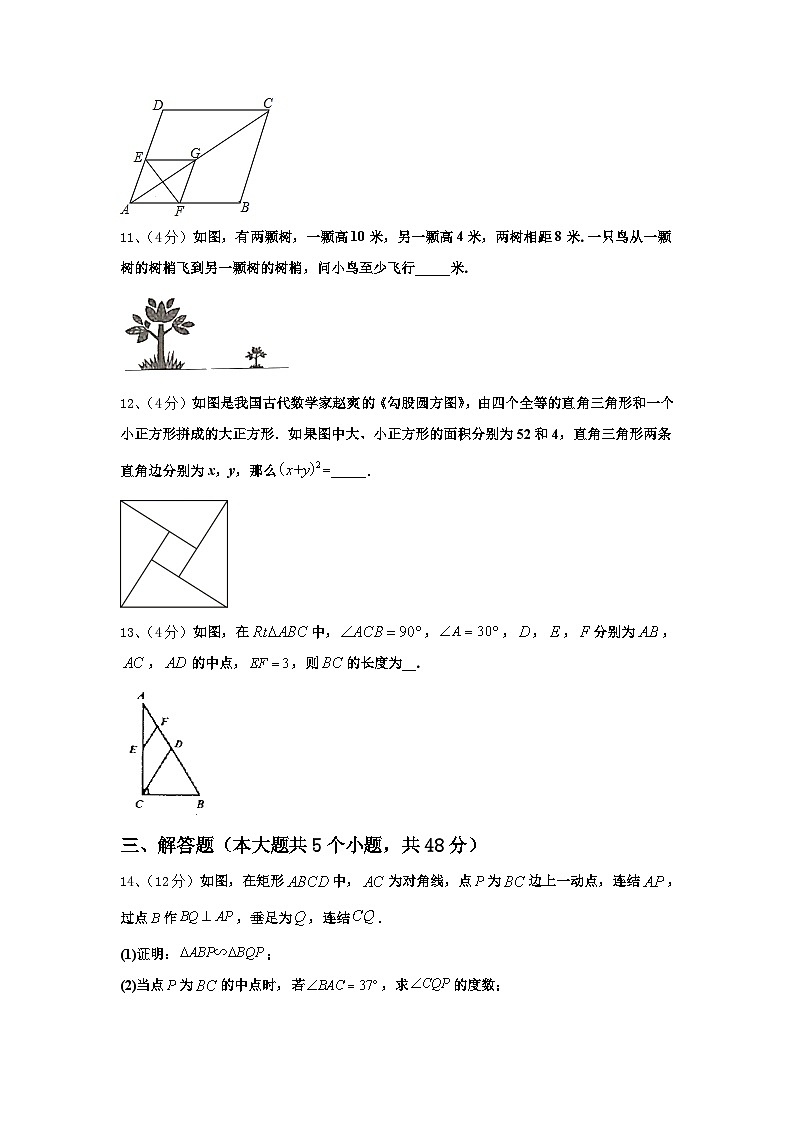 广东省惠州市名校2024年九上数学开学预测试题【含答案】第3页
