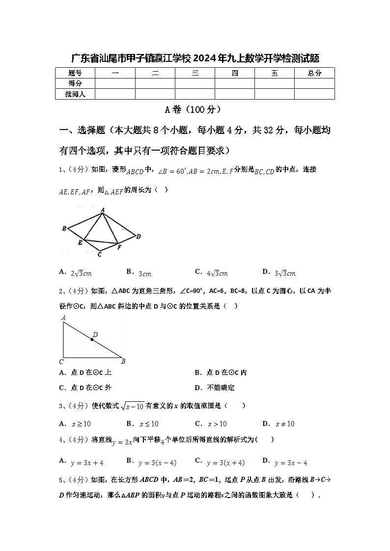 广东省汕尾市甲子镇瀛江学校2024年九上数学开学检测试题【含答案】01