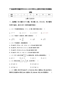 广东省深圳市海韵中学2024-2025学年九上数学开学复习检测模拟试题【含答案】