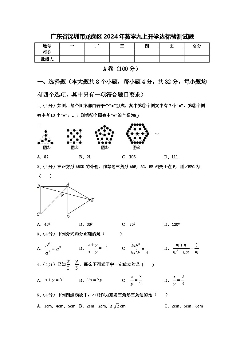广东省深圳市龙岗区2024年数学九上开学达标检测试题【含答案】01