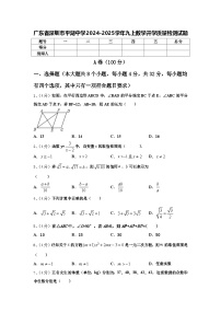 广东省深圳市平湖中学2024-2025学年九上数学开学质量检测试题【含答案】