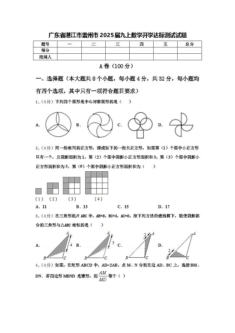 广东省湛江市雷州市2025届九上数学开学达标测试试题【含答案】01
