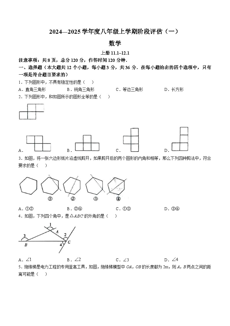河北省邢台市任泽区2024-2025学年八年级上学期10月月考数学试题第1页