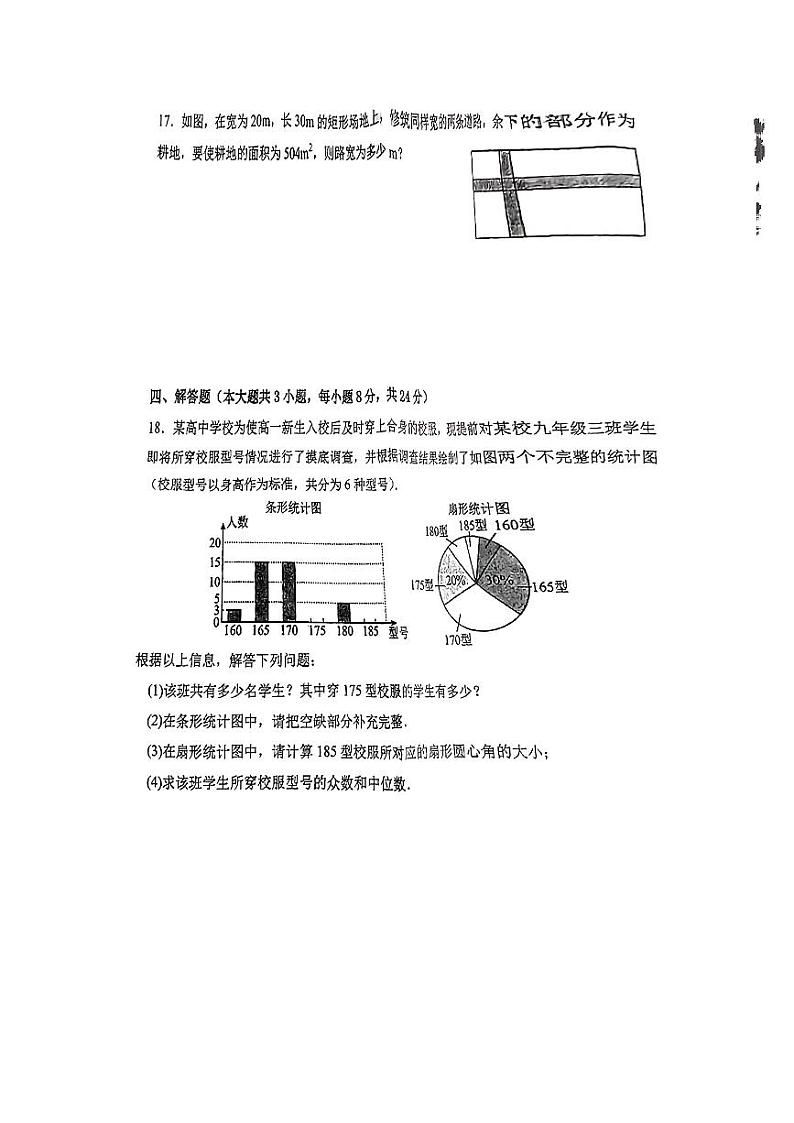 江西省赣州市于都县丰田初级中学 2024-2025学年九年级上学期10月月考数学试题03
