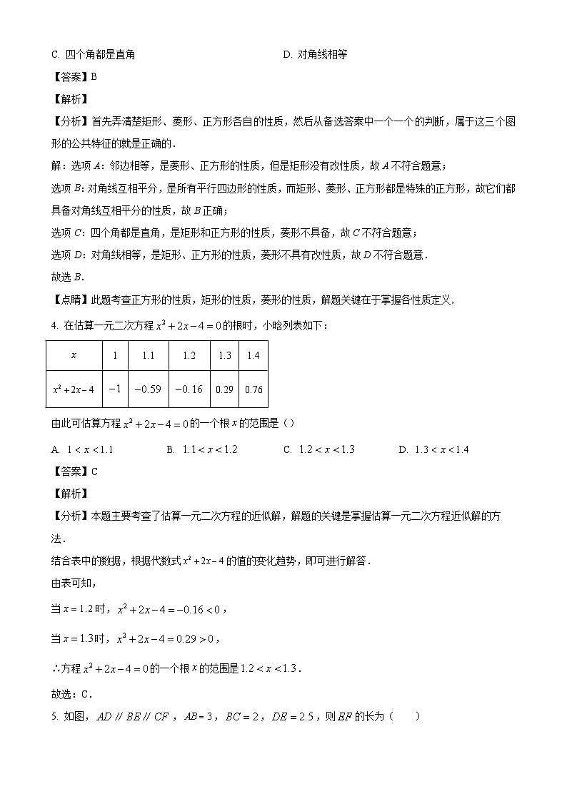 福建省漳州实验中学2024-2025学年上学期九年级10月月考数学试卷（解析版）02