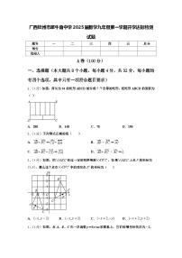 广西钦州市犀牛角中学2025届数学九年级第一学期开学达标检测试题【含答案】