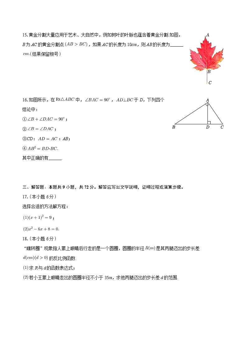 湖南省岳阳市平江县启明中学2023-2024学年九年级上学期期中数学试卷第3页