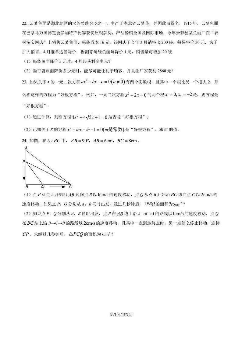 湖北武汉黄陂区七校联盟2024年九年级上学期10月月考数学试题（原卷版+解析版）03