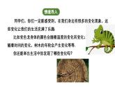 3.1 第3课时探究反比例关系 北师大版(2024)数学七年级上册教学课件