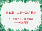 5.3 应用二元一次方程组-鸡兔同笼 北师大版八年级数学上册课件