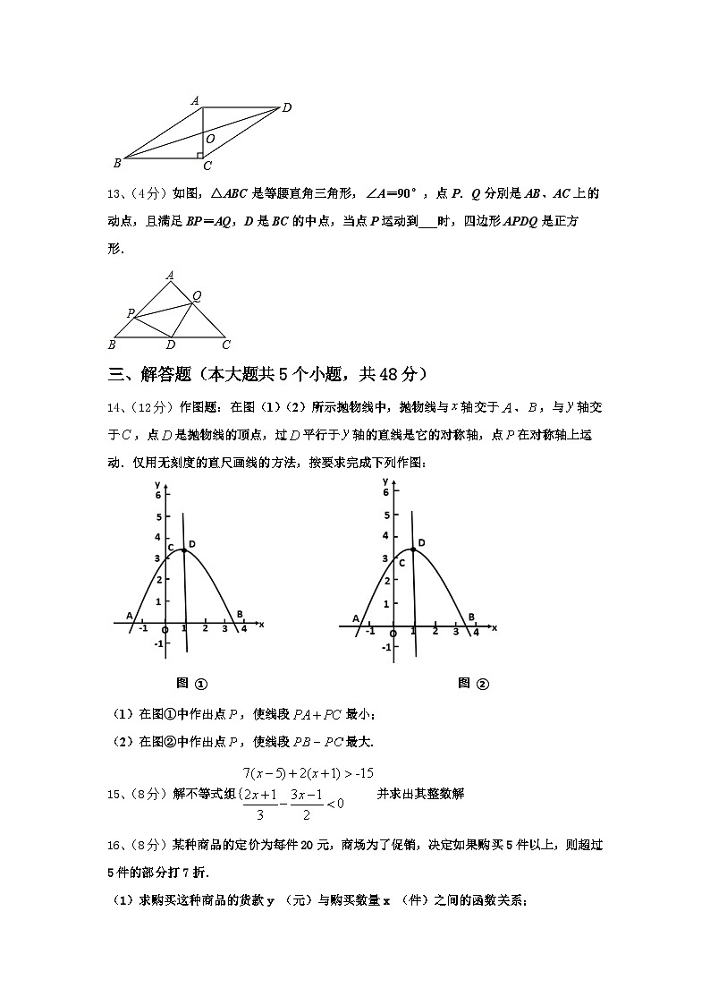 湖北省荆州市洪湖市瞿家湾中学2024年数学九年级第一学期开学质量检测模拟试题【含答案】第3页