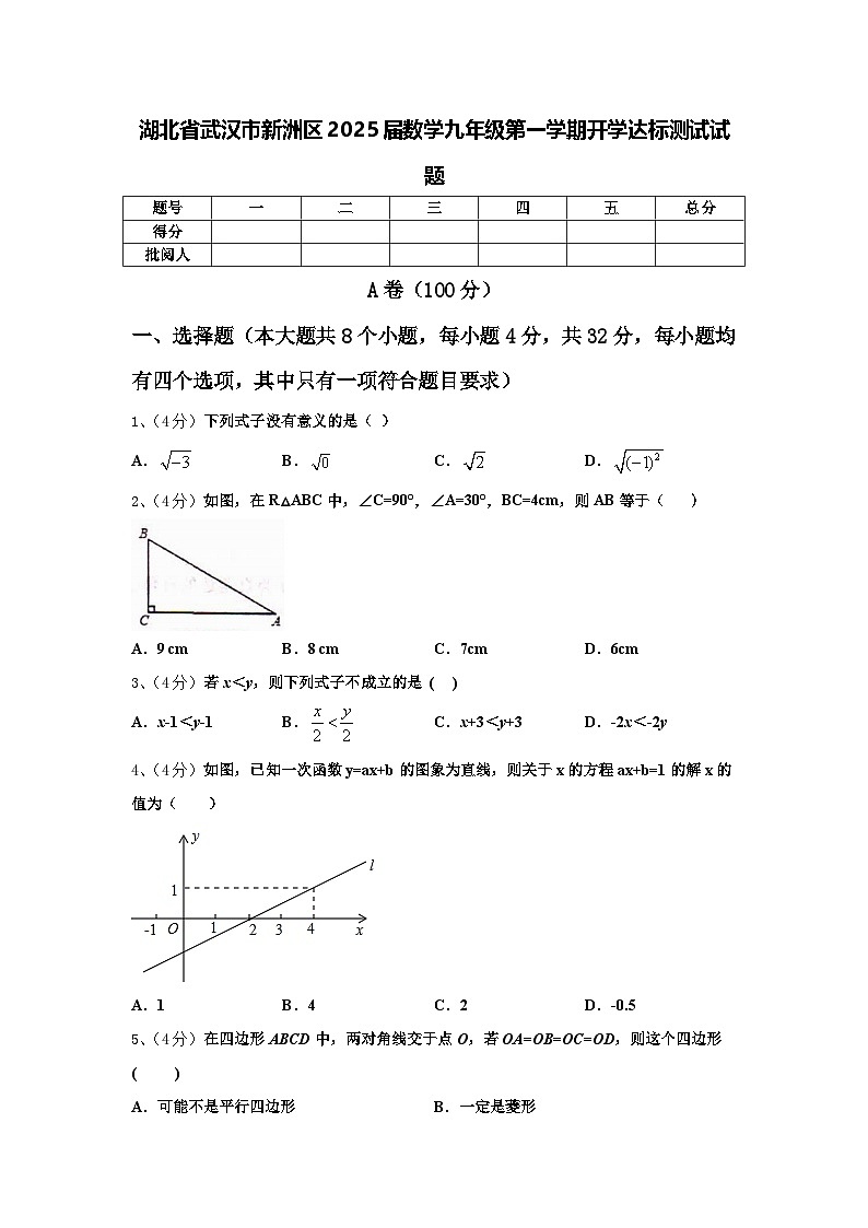 湖北省武汉市新洲区2025届数学九年级第一学期开学达标测试试题【含答案】第1页