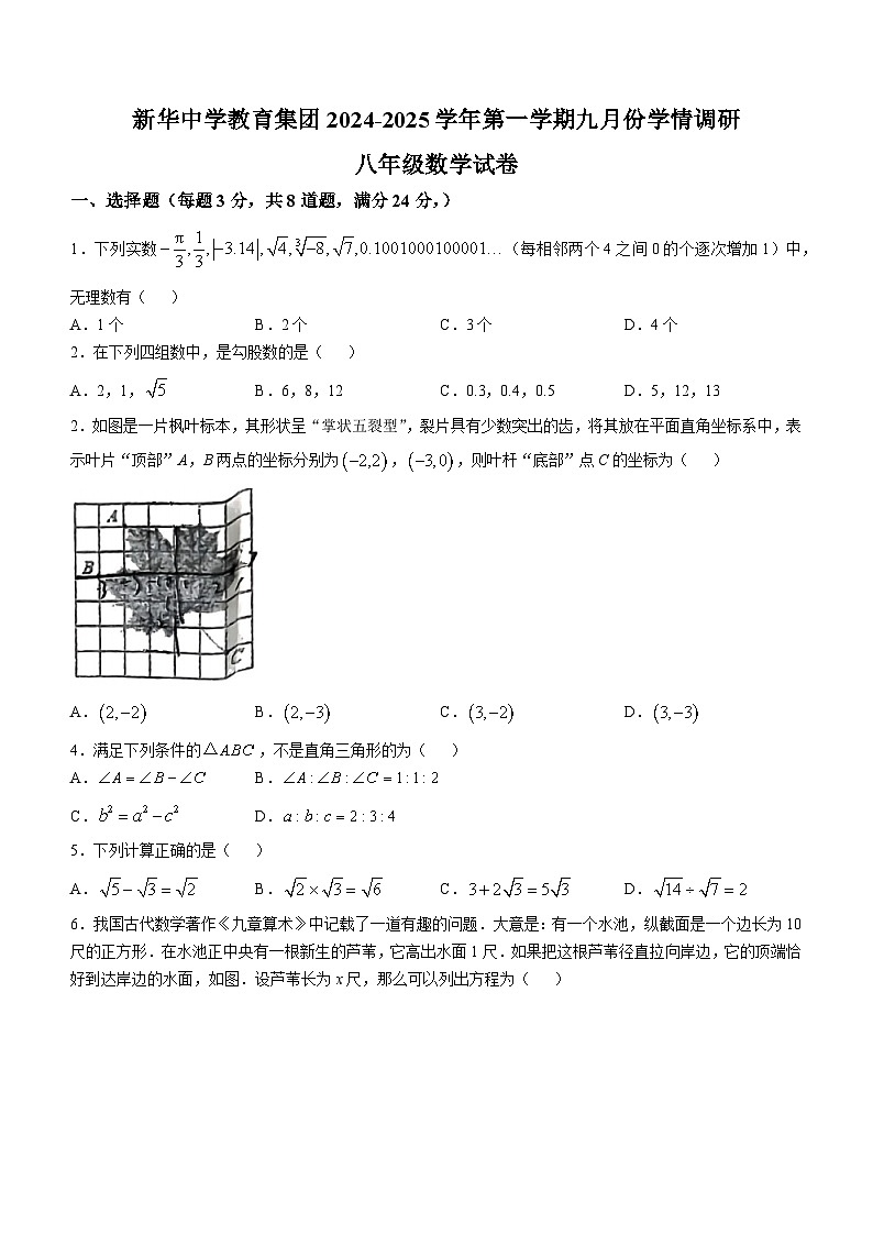 广东省深圳市龙华区新华中学2024-2025学年 八年级上学期数学9月 月考 试题(无答案)01