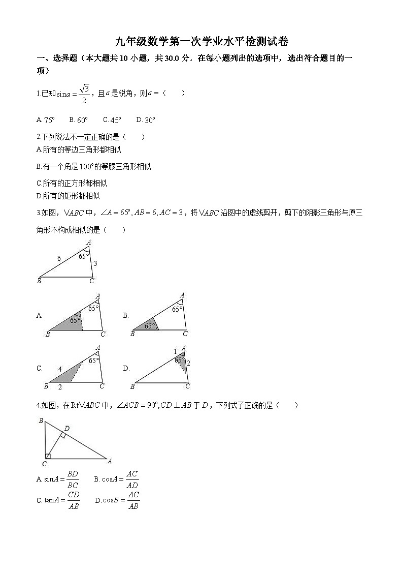 山东省聊城市茌平区实验中学2024-—2025学年上学期九年级10月月考数学试题(无答案)第1页