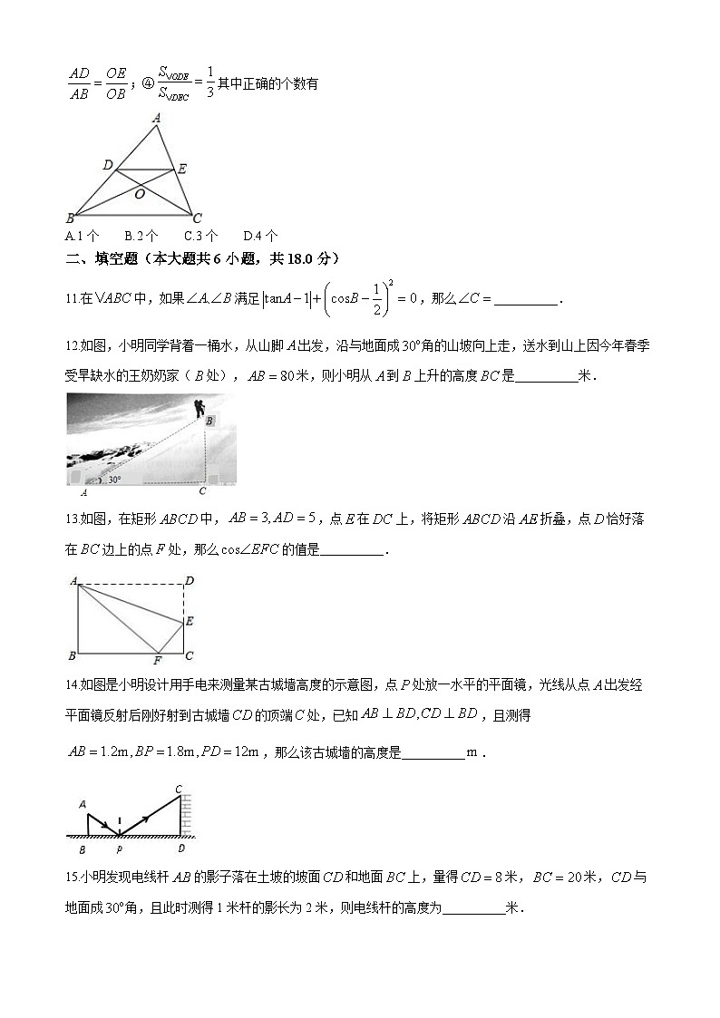 山东省聊城市茌平区实验中学2024-—2025学年上学期九年级10月月考数学试题(无答案)第3页
